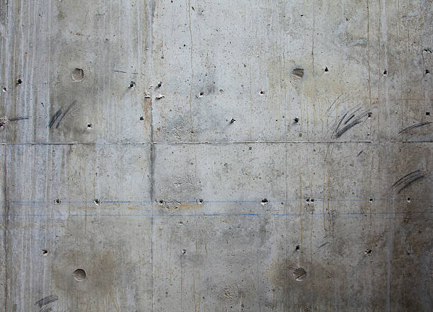 Best Concrete Removal and Replacement in Royal Palm Estates, FL
